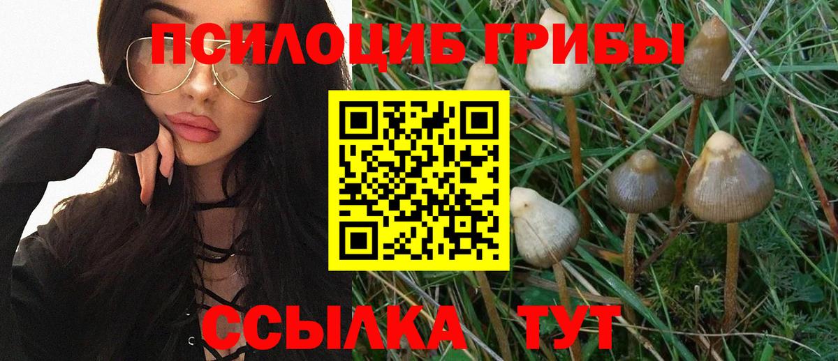 сколько стоит  Галлюциногенные грибы Cubensis  Вход с VPN  Кувандык  Псилоцибиновые грибы Magic Shrooms 