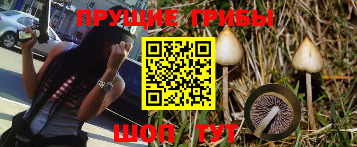 Псилоцибиновые грибы Magic Shrooms Кувандык